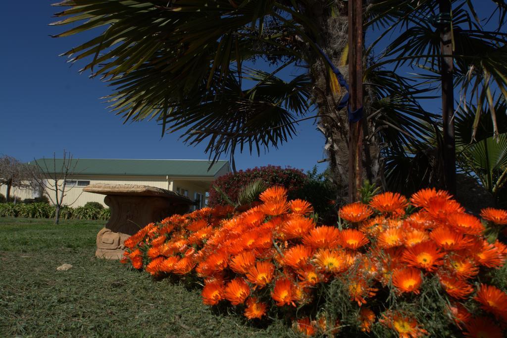Milawa Muscat Retreat B&B Zewnętrze zdjęcie
